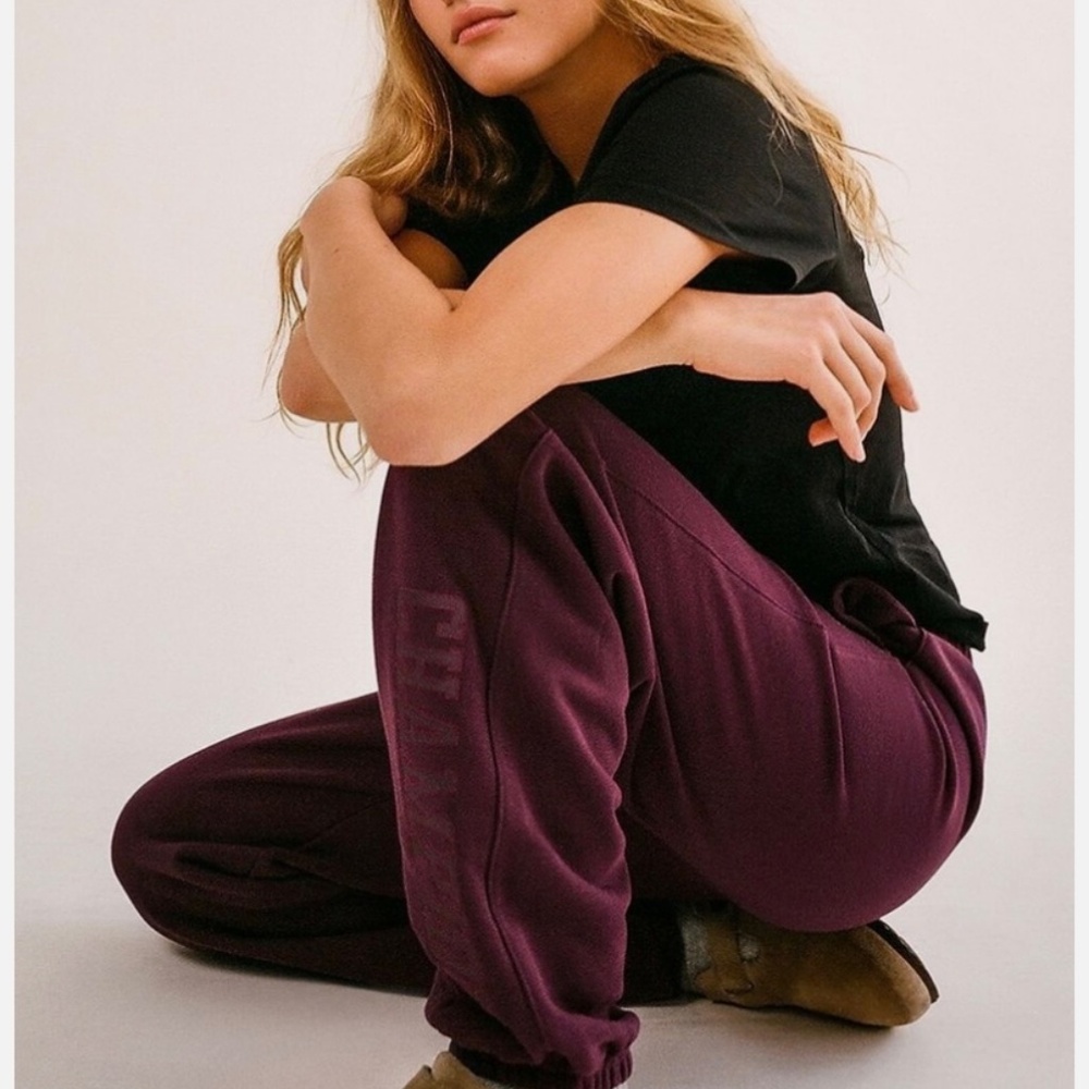 Champion Hoodie and Sweatpants nwot - Picture 4 of 5